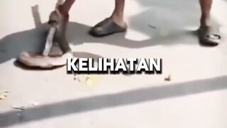 Sempat Pamer Foto Sebelum Tragedi: Detik-Detik Penangkap Ular Digigit Russel’s Viper 🐍⚠️
