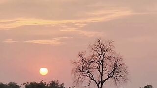 Viral video for you 3