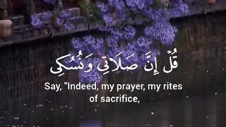 Tilawat e Quran Majeed 127