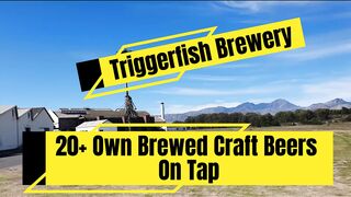Craft Breweries: Triggerfish Brewery In Paardevlei, Somerset West, Cape Town