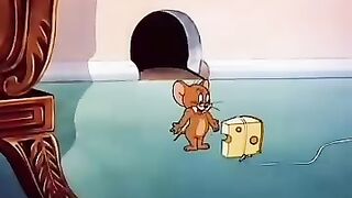 Tom and Jerry cartoon 96