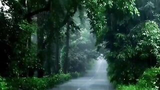 Weather rain on road