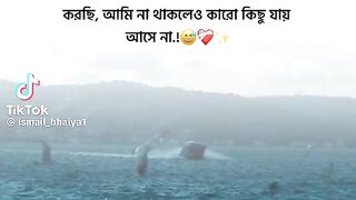 ক্যাপশন 44