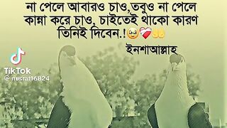ক্যাপশন 45
