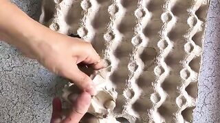 Amazing DIY Recycling Idea from Waste Egg Cartons to THIS! 😱🔥
