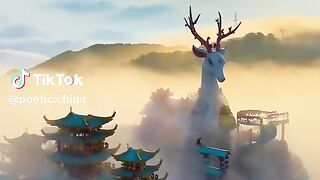 Beautiful Country 3