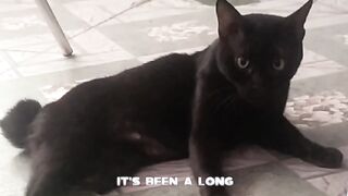 This is cat name Item