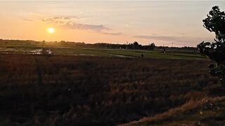 Sunset Day