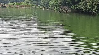 ছেলেবেলা / ব বোটানিকাল গারডেন!!!