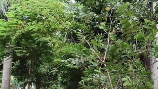 প্রান্তিক পার্ক, ঢাকা, মিরপুর