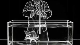 The Invisible Barrier Inside Your Mind