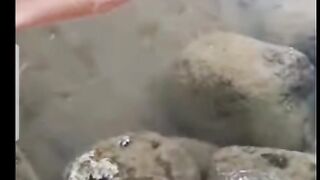 the patience of waiting for a fish to strike