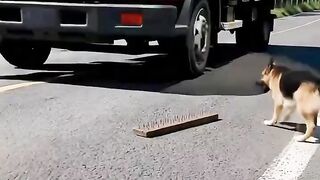 Instagram.mp4