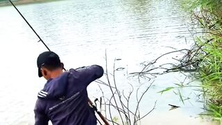 The struggle to fish for Tomang snakehead fish, the inhabitants of the lake