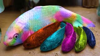 Stop Motion ASMR - Catching Unique Aquarium Fish in a Small Pond, Baby Turtles, Blue Guppies, Koi, Crocodile