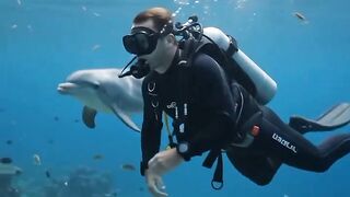 This Dolphin Came Way Too Close
