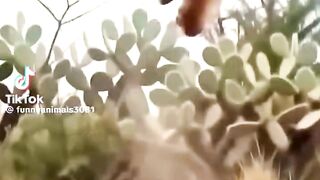 ماشاءاللہ ماشاءاللہ ماشاءاللہ ماشاءاللہ سبحان اللہ العظیم وبحمدہ.mp4