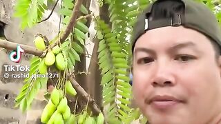 starfruit prank