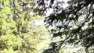 Beautiful nature 356
