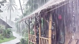 Bamboo house in rain