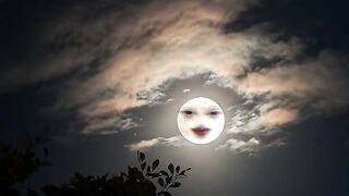 Moonlight 8