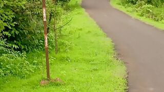 ग्रीन नेचर ऑफेन्सिव्ह