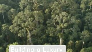🎋 Building a Bamboo Treehouse High Up in the Forest! 🌿✨ | Asraf Vai 1 #shorts