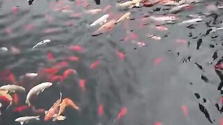 📍🇨🇳 keindahan Pesona Desa Gexian Negeri Dongeng China
