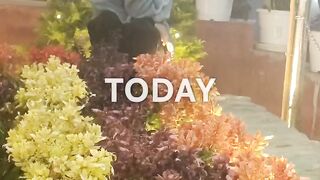 reels video 3