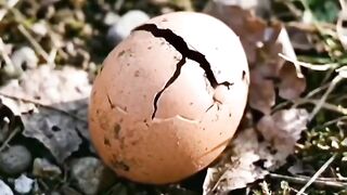 #Funny #video! #viralvideo #funny #hindi viral