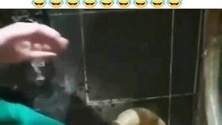 #Funny #video! #viralvideo #funny #hindi viral 18+ #18+ 2