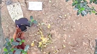 #Funny #video! #viralvideo #funny #hindi viral 12