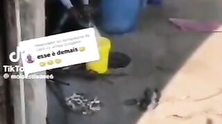 Heeee 4