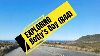 Whale Coast: Exploring Betty's Bay Part 1, Off The R44, Home To The Stony Point Penguin Colony