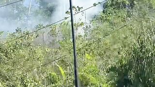 Darurat Karhutla Biak Papua! Paru-Paru Dunia Berubah Jadi Lautan Abu, Ratusan Titik Api Kepung Permukiman Warga! 2