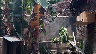 My bird dove videos..