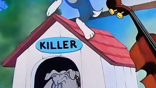 Tom Ties Up Killer Spike & Plays Bass | Tom and Jerry Classic Serenade Scene
