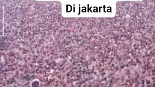 Massive demonstration taking place today in Jakarta, Indonesia.   *Date:* August 27, 2026   *Location:* Jakarta