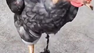 #Funny #video! #viralvideo #funny #hindi viral 25