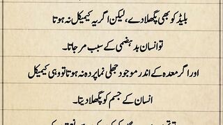 Hamza write