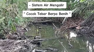 Catfish Cultivation in Earthen Ponds