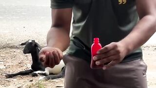 #Funny #video! #viralvideo #funny #hindi viral 36