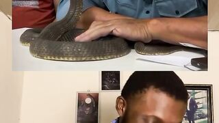 #Funny #video! #viralvideo #funny #hindi viral #us United States America