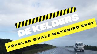 Whale Coast: De Kelders On Walker Bay, A Popular Whale Watching Spot