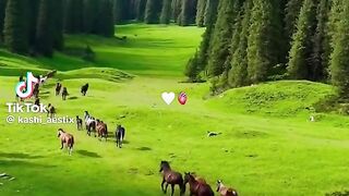 Beautiful Place 80