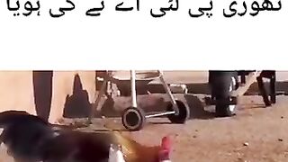 Thori g pee liya ta ki hoya