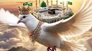 Islamic video ai video