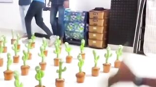 What if we brought a hundred cactus 🌵 and talked to them how the scene would be
