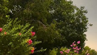 Islamabad Weather