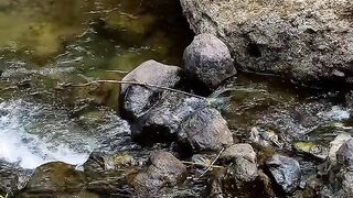 Hidden Mini Waterfall in the Forest | Relaxing Nature Sounds